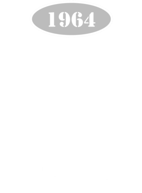 https://d1w8c6s6gmwlek.cloudfront.net/cargeektees.com/overlays/117/226/1172263.png img