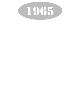 https://d1w8c6s6gmwlek.cloudfront.net/cargeektees.com/overlays/117/229/1172290.png img