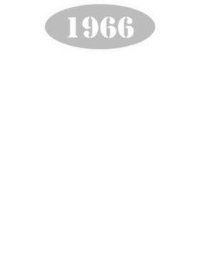 https://d1w8c6s6gmwlek.cloudfront.net/cargeektees.com/overlays/117/230/1172307.png img