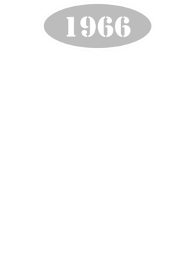 https://d1w8c6s6gmwlek.cloudfront.net/cargeektees.com/overlays/117/231/1172317.png img