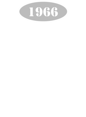 https://d1w8c6s6gmwlek.cloudfront.net/cargeektees.com/overlays/117/233/1172331.png img