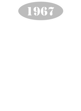 https://d1w8c6s6gmwlek.cloudfront.net/cargeektees.com/overlays/117/237/1172372.png img