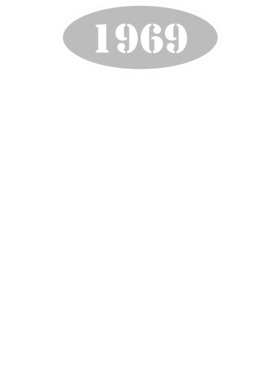 https://d1w8c6s6gmwlek.cloudfront.net/cargeektees.com/overlays/117/246/1172466.png img