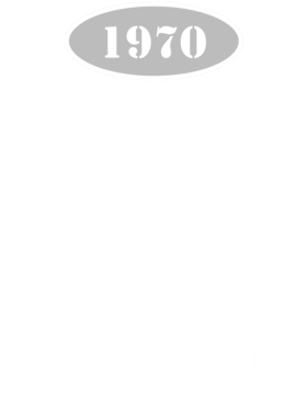 https://d1w8c6s6gmwlek.cloudfront.net/cargeektees.com/overlays/117/248/1172488.png img