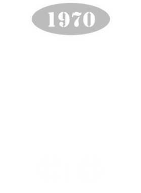 https://d1w8c6s6gmwlek.cloudfront.net/cargeektees.com/overlays/117/252/1172527.png img