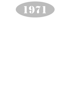 https://d1w8c6s6gmwlek.cloudfront.net/cargeektees.com/overlays/117/253/1172538.png img