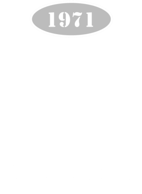 https://d1w8c6s6gmwlek.cloudfront.net/cargeektees.com/overlays/117/255/1172557.png img