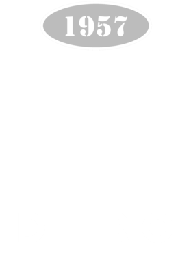 https://d1w8c6s6gmwlek.cloudfront.net/cargeektees.com/overlays/118/515/1185153.png img