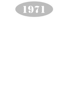 https://d1w8c6s6gmwlek.cloudfront.net/cargeektees.com/overlays/118/532/1185323.png img