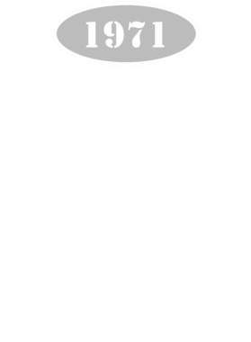 https://d1w8c6s6gmwlek.cloudfront.net/cargeektees.com/overlays/118/532/1185326.png img