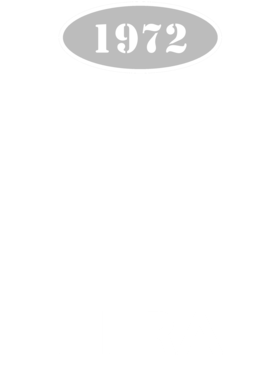 https://d1w8c6s6gmwlek.cloudfront.net/cargeektees.com/overlays/118/534/1185344.png img