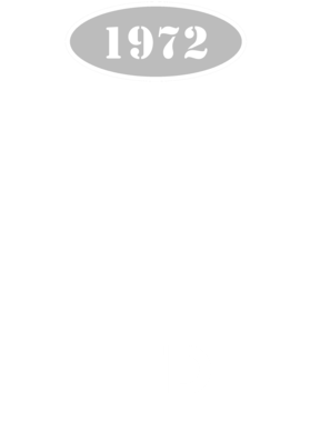 https://d1w8c6s6gmwlek.cloudfront.net/cargeektees.com/overlays/118/534/1185345.png img