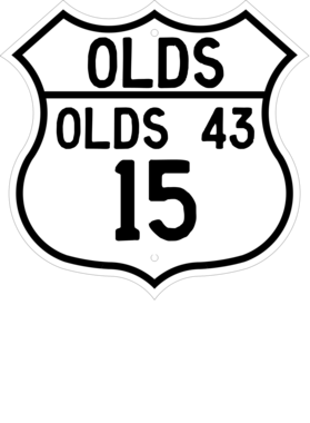 https://d1w8c6s6gmwlek.cloudfront.net/cargeektees.com/overlays/119/625/1196250.png img