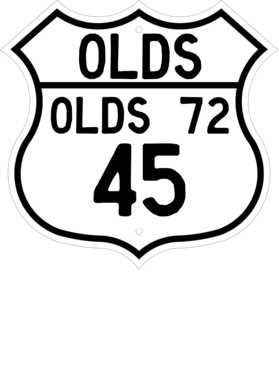 https://d1w8c6s6gmwlek.cloudfront.net/cargeektees.com/overlays/119/627/1196273.png img