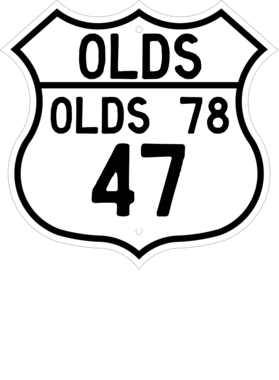 https://d1w8c6s6gmwlek.cloudfront.net/cargeektees.com/overlays/119/628/1196283.png img