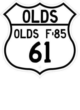 https://d1w8c6s6gmwlek.cloudfront.net/cargeektees.com/overlays/119/632/1196324.png img