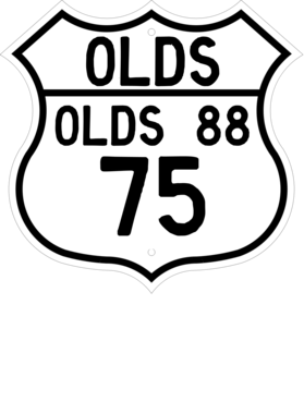 https://d1w8c6s6gmwlek.cloudfront.net/cargeektees.com/overlays/119/643/1196437.png img