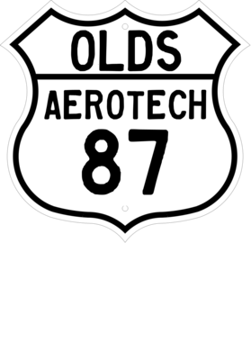 https://d1w8c6s6gmwlek.cloudfront.net/cargeektees.com/overlays/119/654/1196549.png img