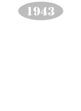 https://d1w8c6s6gmwlek.cloudfront.net/cargeektees.com/overlays/121/149/1211499.png img