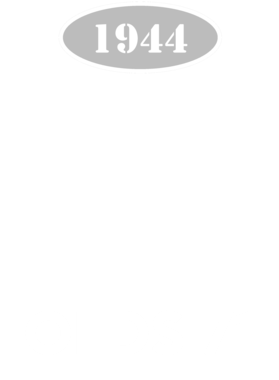 https://d1w8c6s6gmwlek.cloudfront.net/cargeektees.com/overlays/121/150/1211502.png img