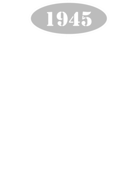 https://d1w8c6s6gmwlek.cloudfront.net/cargeektees.com/overlays/121/150/1211505.png img