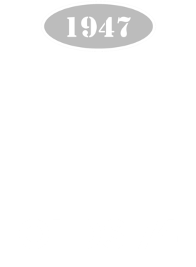 https://d1w8c6s6gmwlek.cloudfront.net/cargeektees.com/overlays/121/151/1211513.png img