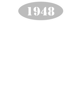 https://d1w8c6s6gmwlek.cloudfront.net/cargeektees.com/overlays/121/151/1211518.png img