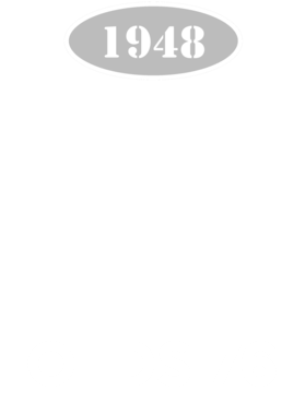 https://d1w8c6s6gmwlek.cloudfront.net/cargeektees.com/overlays/121/151/1211519.png img