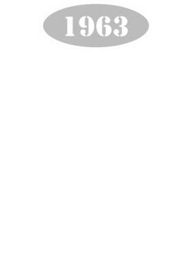 https://d1w8c6s6gmwlek.cloudfront.net/cargeektees.com/overlays/121/156/1211569.png img