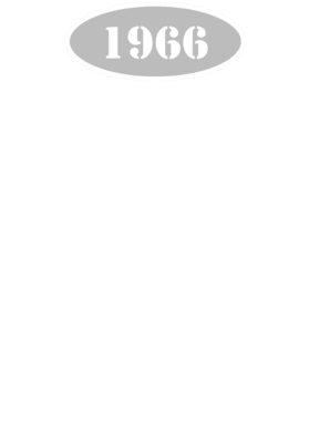 https://d1w8c6s6gmwlek.cloudfront.net/cargeektees.com/overlays/121/158/1211586.png img