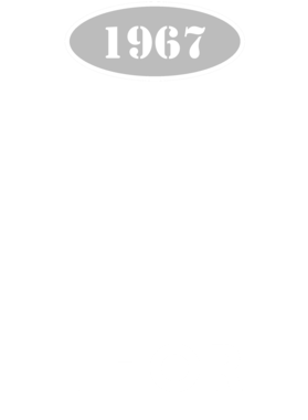 https://d1w8c6s6gmwlek.cloudfront.net/cargeektees.com/overlays/121/160/1211602.png img