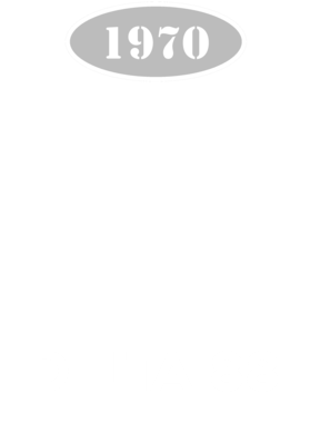 https://d1w8c6s6gmwlek.cloudfront.net/cargeektees.com/overlays/121/162/1211623.png img
