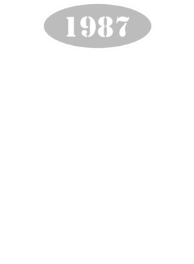 https://d1w8c6s6gmwlek.cloudfront.net/cargeektees.com/overlays/121/843/1218434.png img