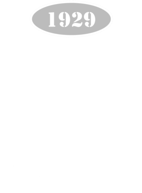 https://d1w8c6s6gmwlek.cloudfront.net/cargeektees.com/overlays/123/535/1235354.png img