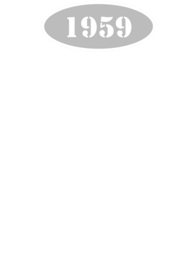 https://d1w8c6s6gmwlek.cloudfront.net/cargeektees.com/overlays/123/542/1235422.png img