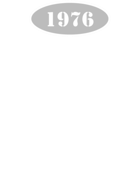 https://d1w8c6s6gmwlek.cloudfront.net/cargeektees.com/overlays/123/549/1235496.png img