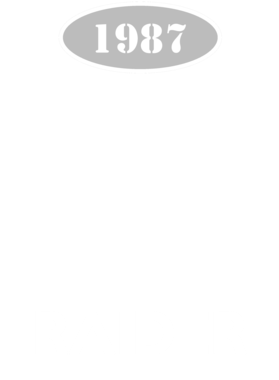 https://d1w8c6s6gmwlek.cloudfront.net/cargeektees.com/overlays/123/558/1235587.png img