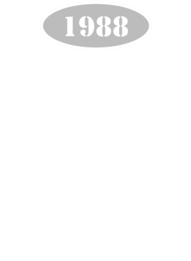 https://d1w8c6s6gmwlek.cloudfront.net/cargeektees.com/overlays/123/559/1235592.png img
