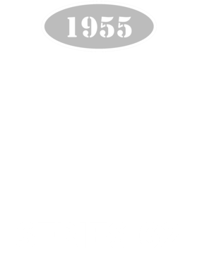 https://d1w8c6s6gmwlek.cloudfront.net/cargeektees.com/overlays/130/786/1307863.png img