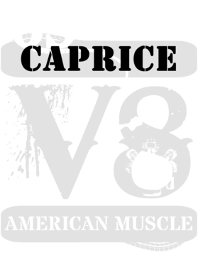 https://d1w8c6s6gmwlek.cloudfront.net/cargeektees.com/overlays/135/943/1359431.png img