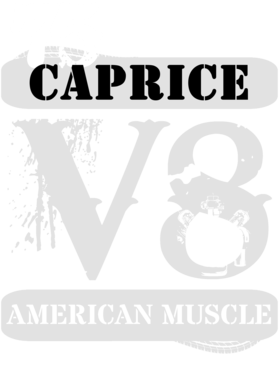 https://d1w8c6s6gmwlek.cloudfront.net/cargeektees.com/overlays/135/963/1359637.png img