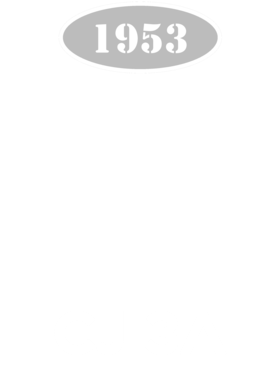 https://d1w8c6s6gmwlek.cloudfront.net/cargeektees.com/overlays/136/012/1360124.png img
