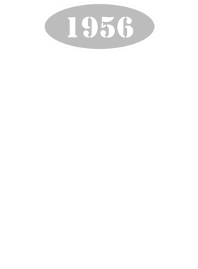 https://d1w8c6s6gmwlek.cloudfront.net/cargeektees.com/overlays/136/015/1360151.png img
