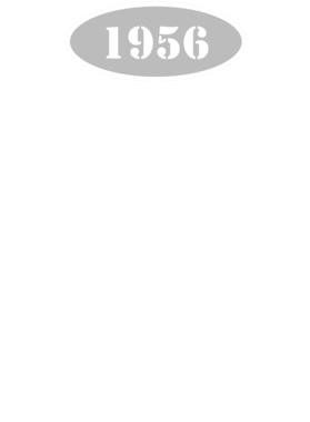 https://d1w8c6s6gmwlek.cloudfront.net/cargeektees.com/overlays/136/015/1360153.png img