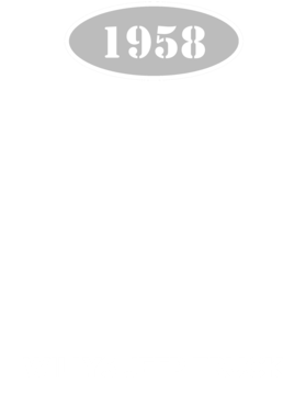 https://d1w8c6s6gmwlek.cloudfront.net/cargeektees.com/overlays/136/018/1360183.png img