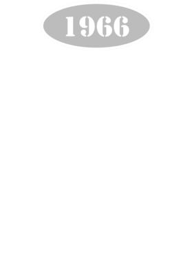 https://d1w8c6s6gmwlek.cloudfront.net/cargeektees.com/overlays/136/033/1360333.png img