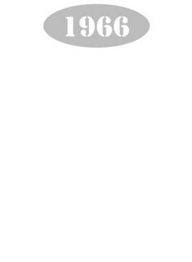 https://d1w8c6s6gmwlek.cloudfront.net/cargeektees.com/overlays/136/034/1360340.png img