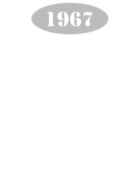 https://d1w8c6s6gmwlek.cloudfront.net/cargeektees.com/overlays/136/035/1360358.png img