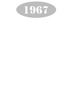 https://d1w8c6s6gmwlek.cloudfront.net/cargeektees.com/overlays/136/036/1360363.png img