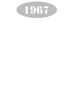 https://d1w8c6s6gmwlek.cloudfront.net/cargeektees.com/overlays/136/036/1360364.png img